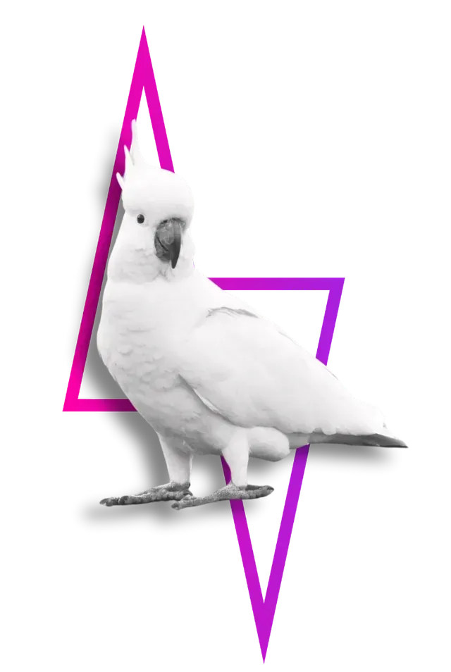 White cockatoo perched on a branch, with a purple geometric shape behind it.