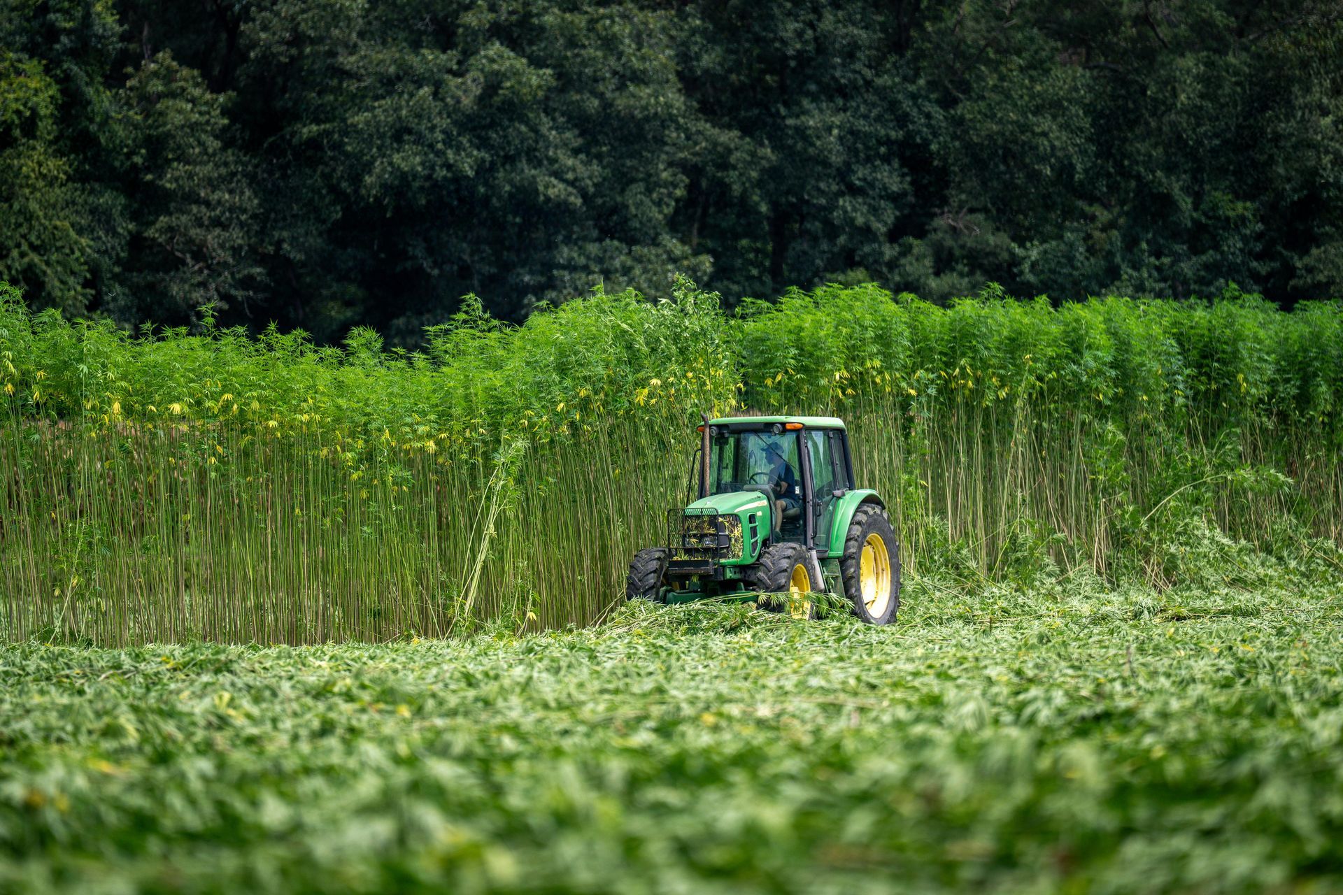A tractor on a farm