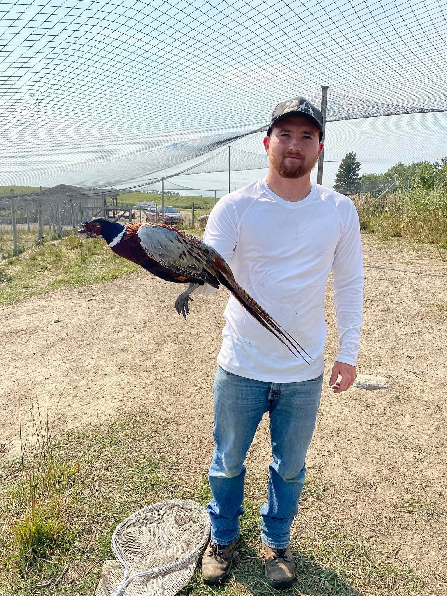 A man is holding a pheasant in his hands in a field.