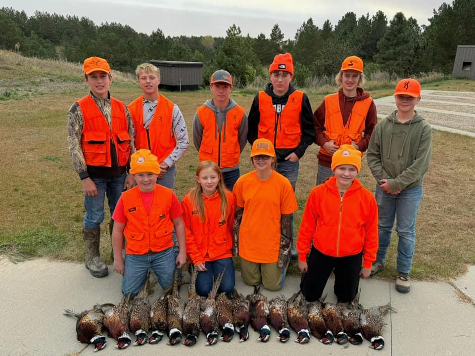 rooster pheasants for sale