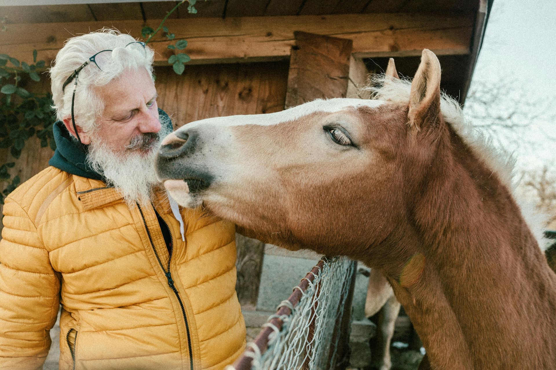 A man with a beard is kissing a horse on the nose.