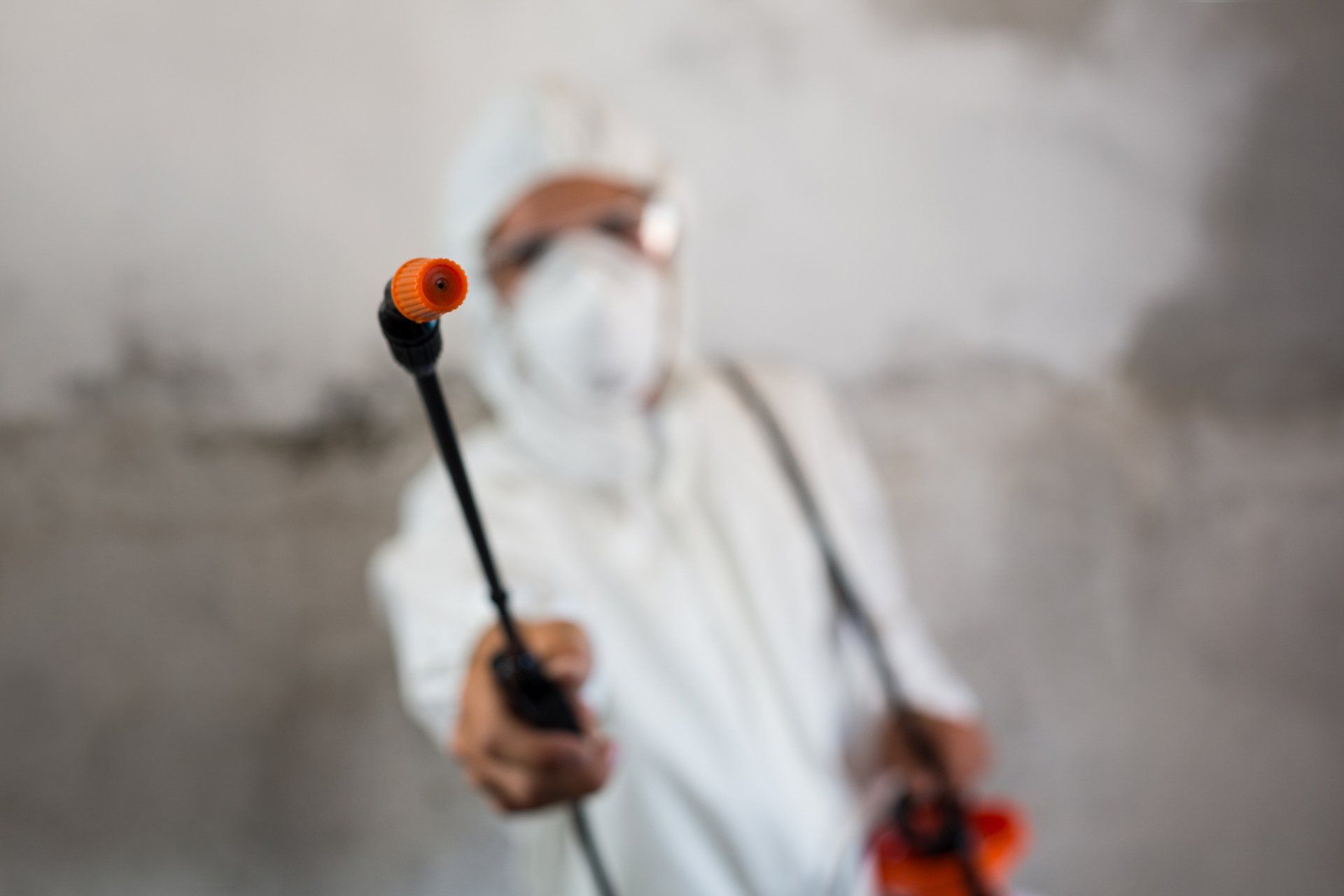 Pest Control Expert — Brett Edwards Pest Services in North Arm Cove, NSW