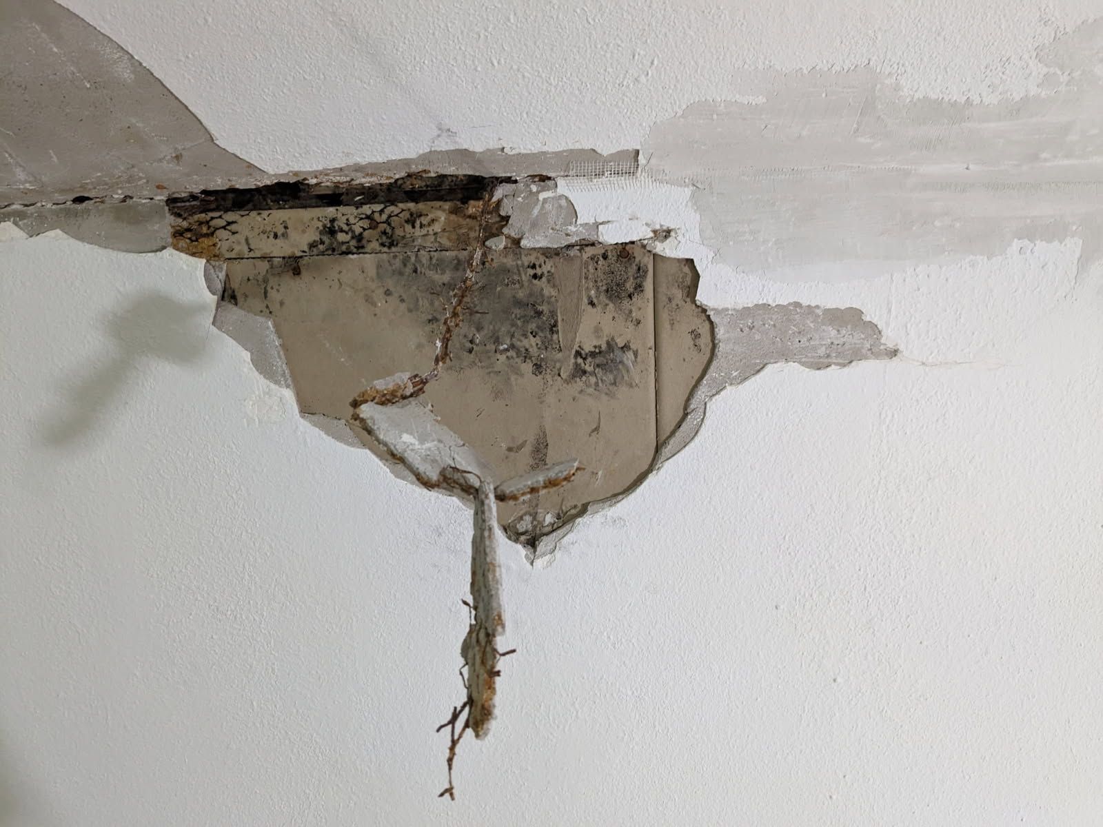 Damaged ceiling with exposed structure, crumbling plaster, and staining. White walls.
