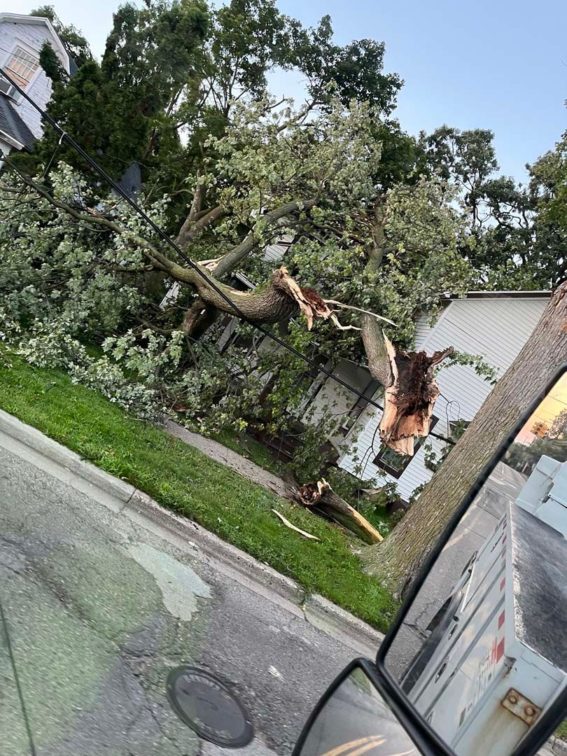 A tree is fallen on the side of a house.