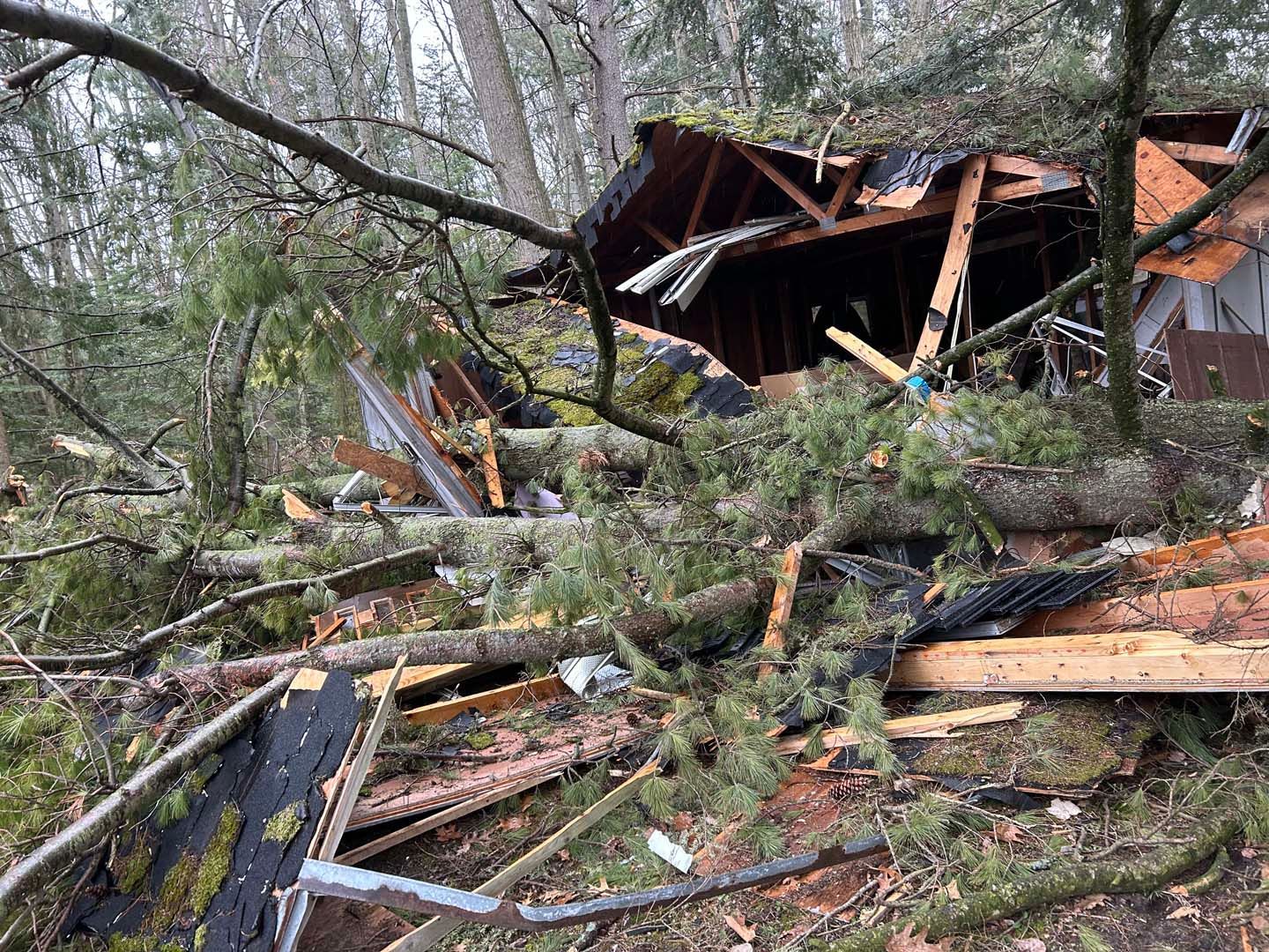 Home destroyed by a tree