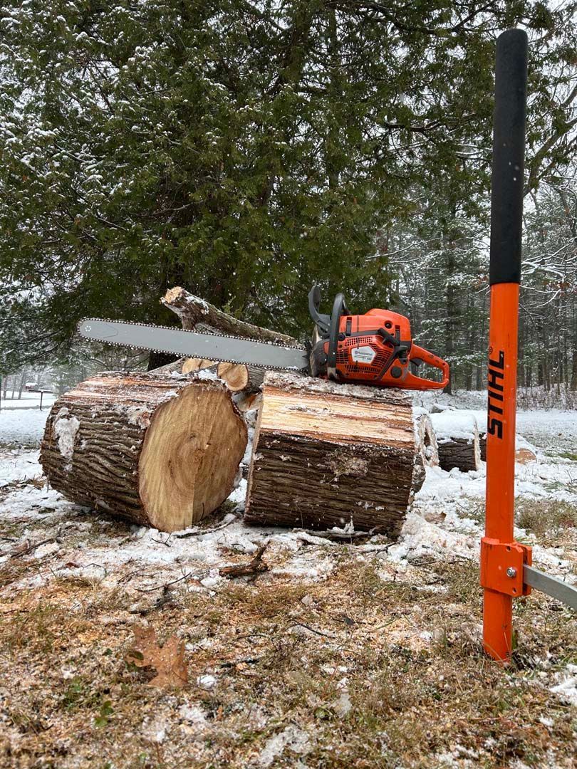 A chainsaw is sitting on top of a pile of logs.