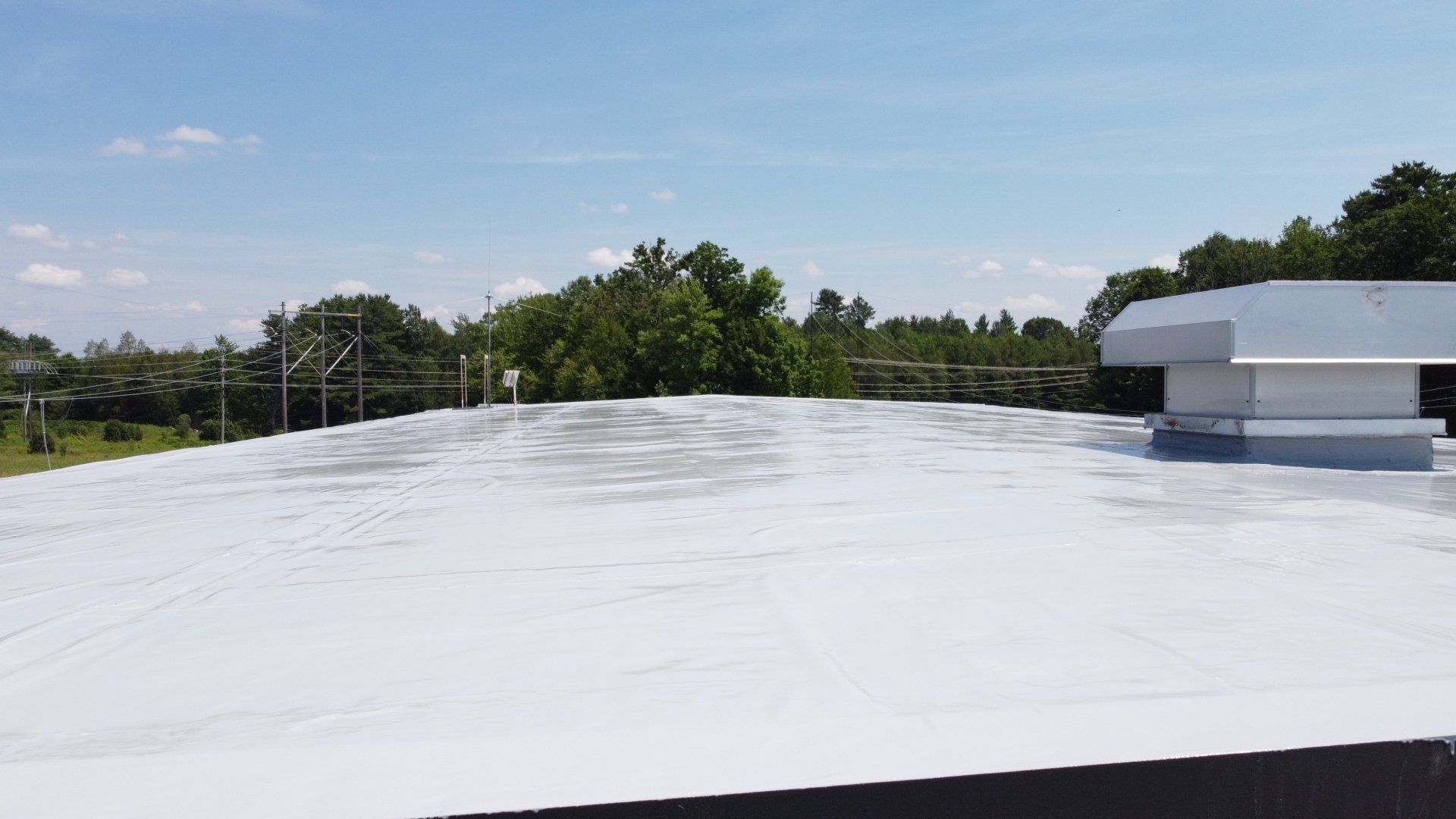 A white roof with trees in the background on a sunny day.