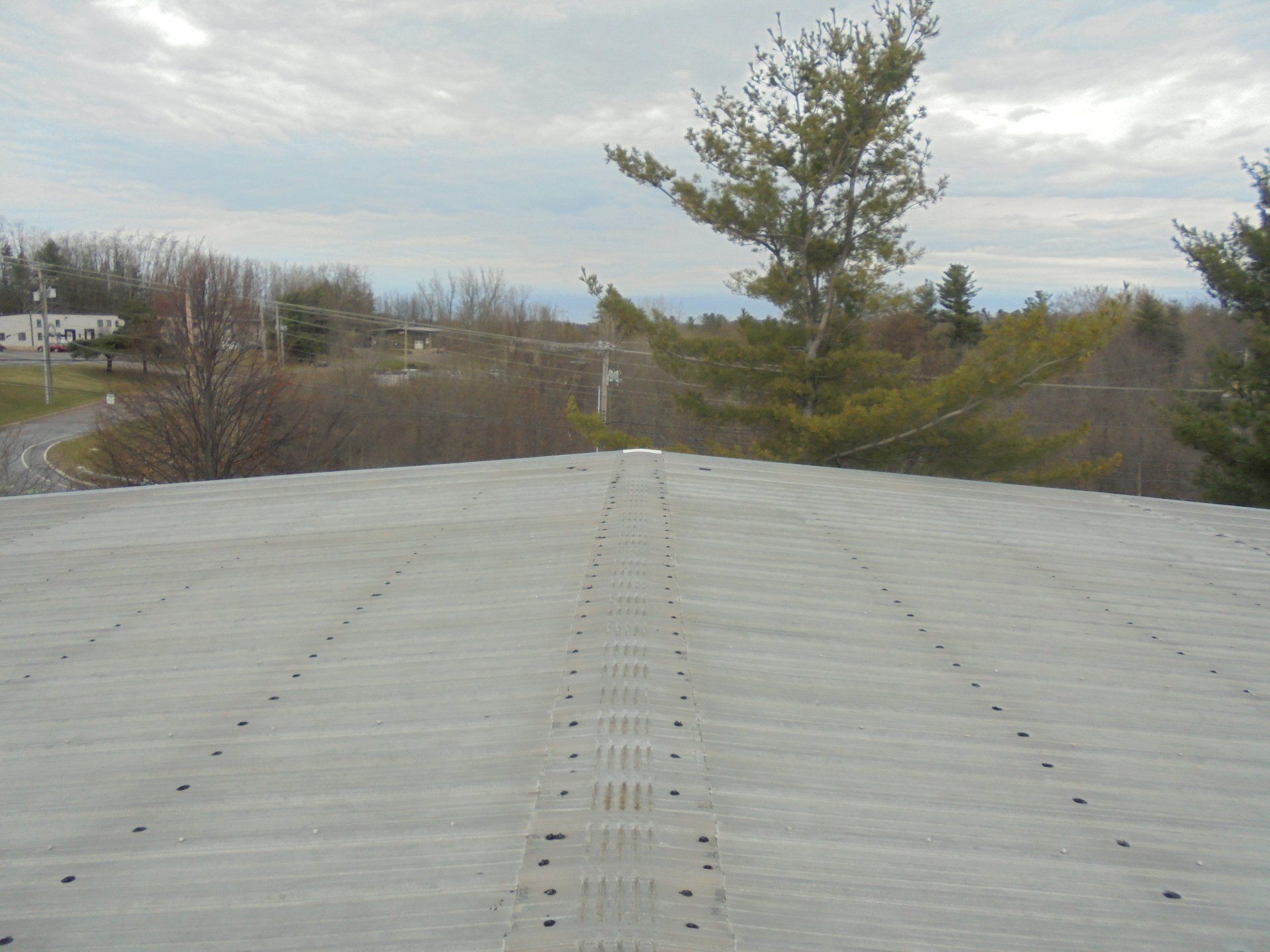 The roof of a building with trees in the background