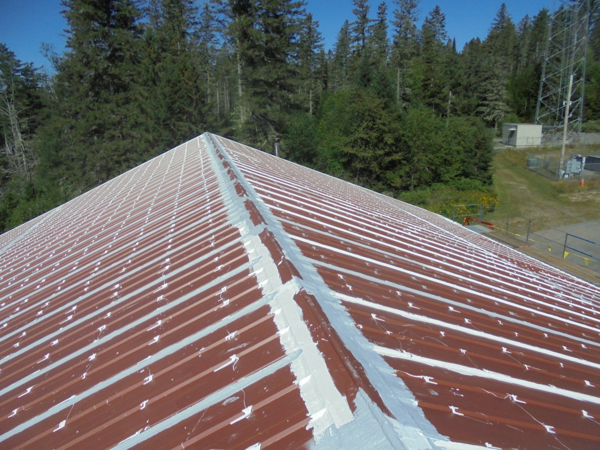 The roof of a building with trees in the background.