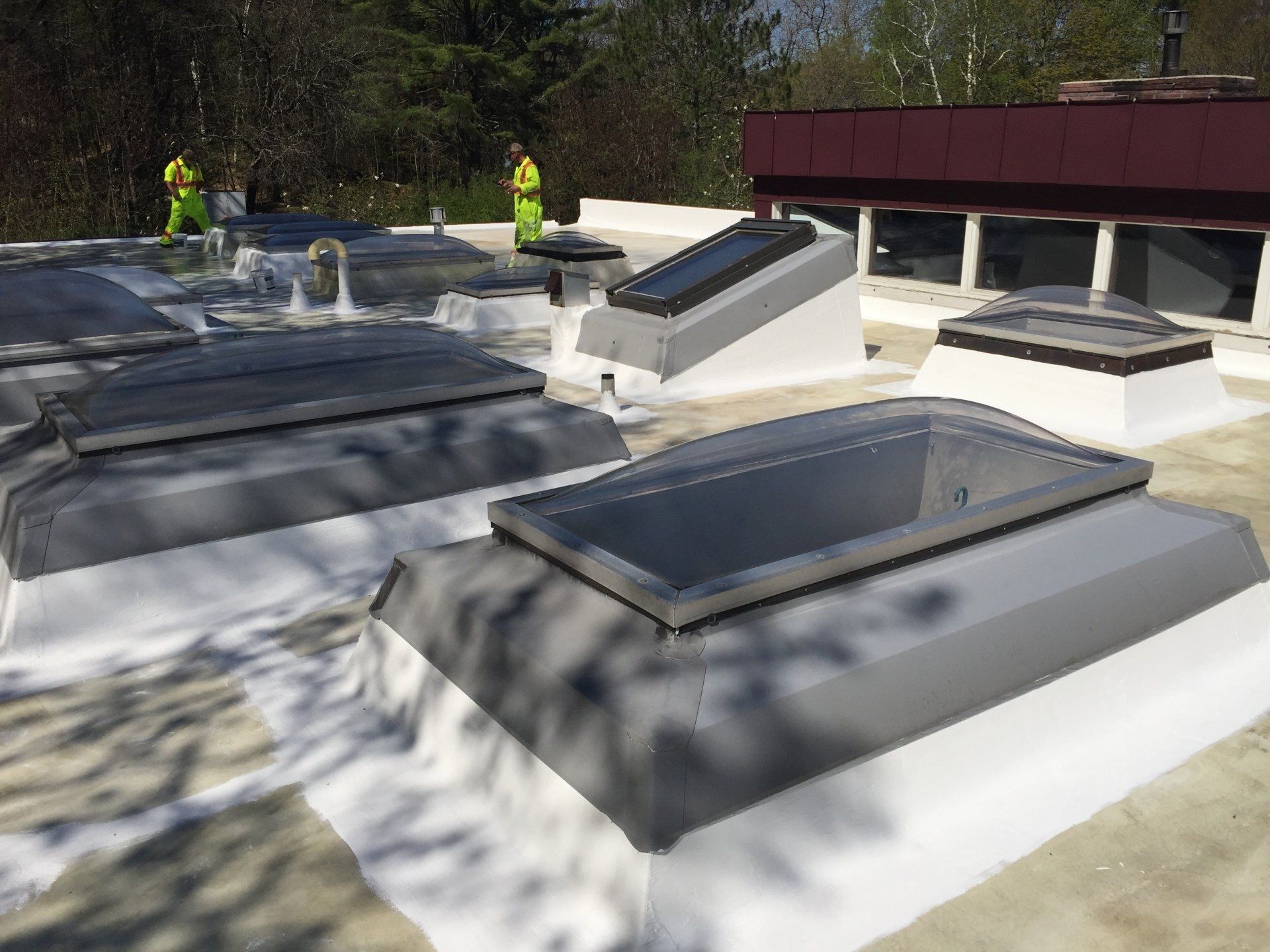 A roof with a lot of skylights on it