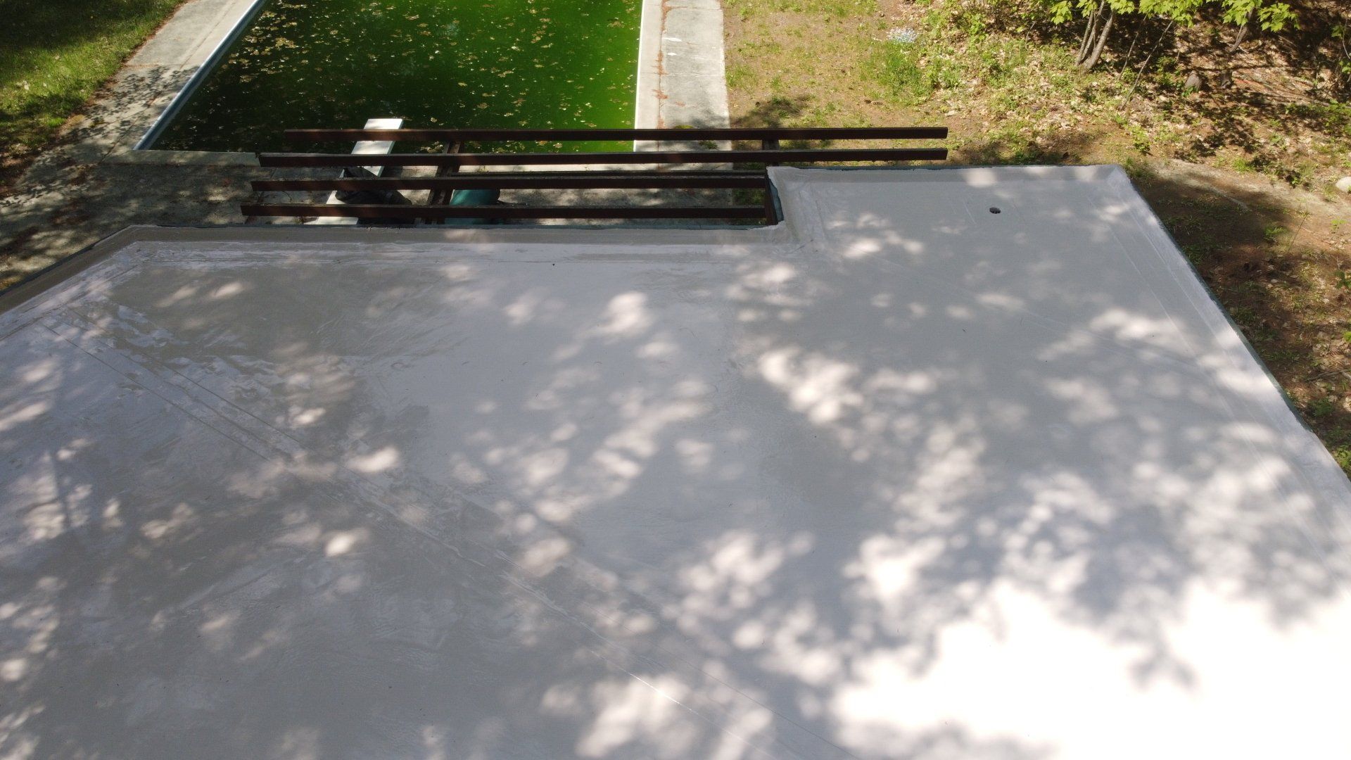 A shadow of a tree is cast on a concrete surface next to a pool.