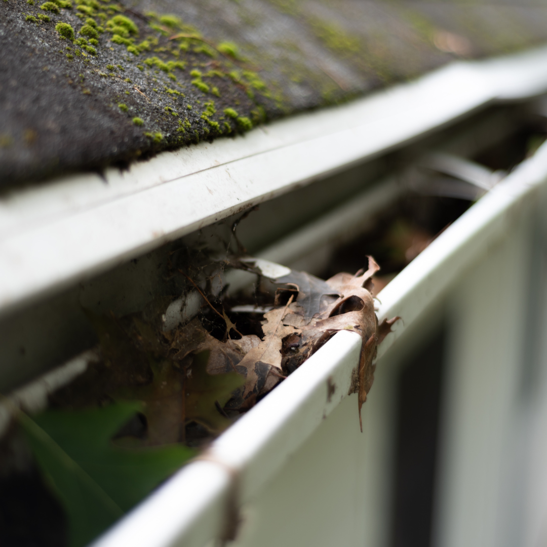 Closeup of rain gutter full of debris like leaves and sticks.