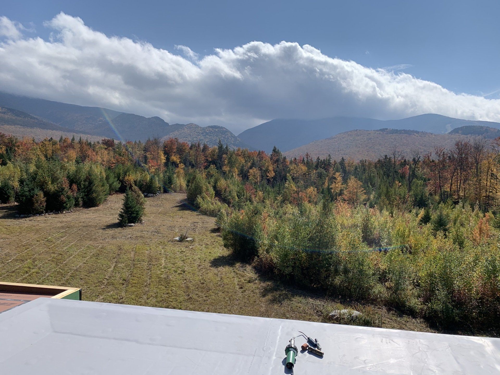 A view of a lush green forest with mountains in the background