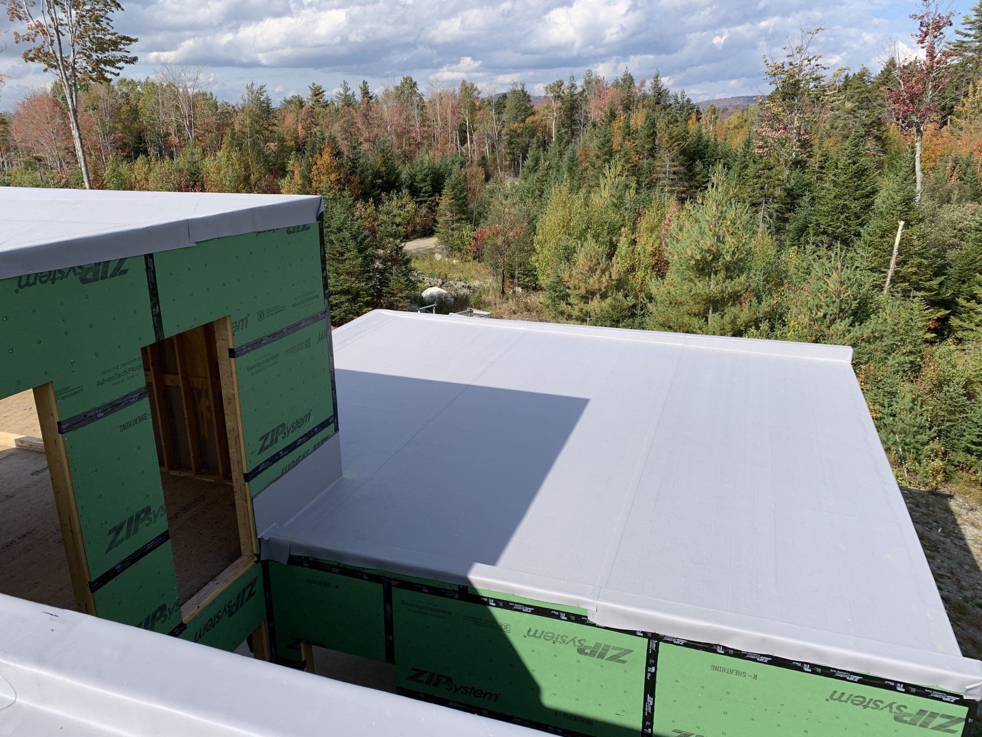 A white roof with green walls is surrounded by trees.