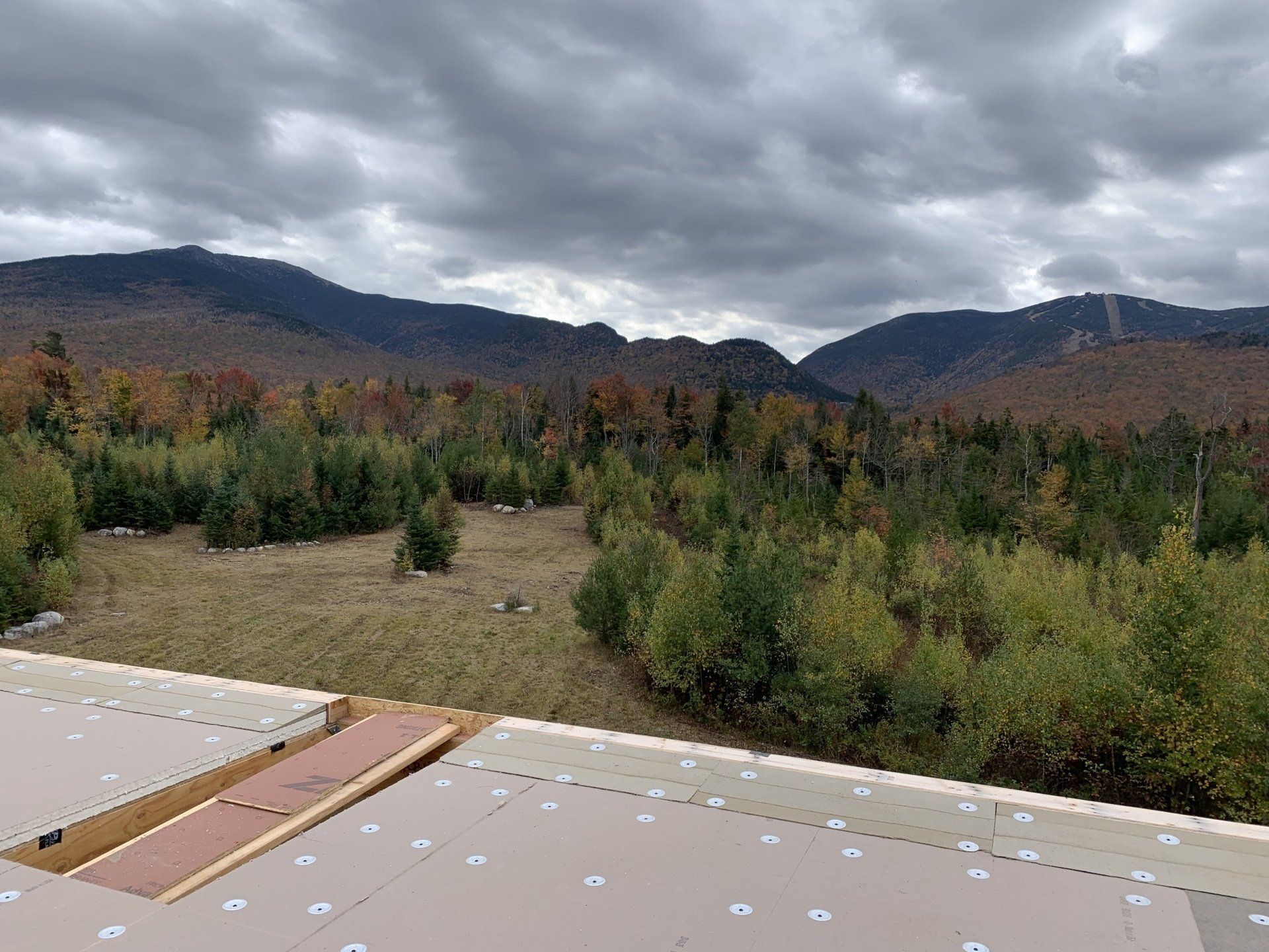A view of a forest from a roof with mountains in the background.