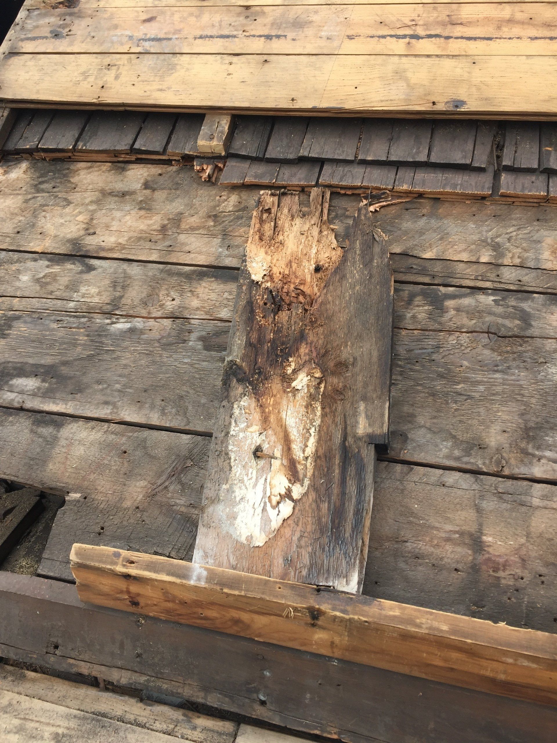 A piece of wood is laying on top of a wooden floor.