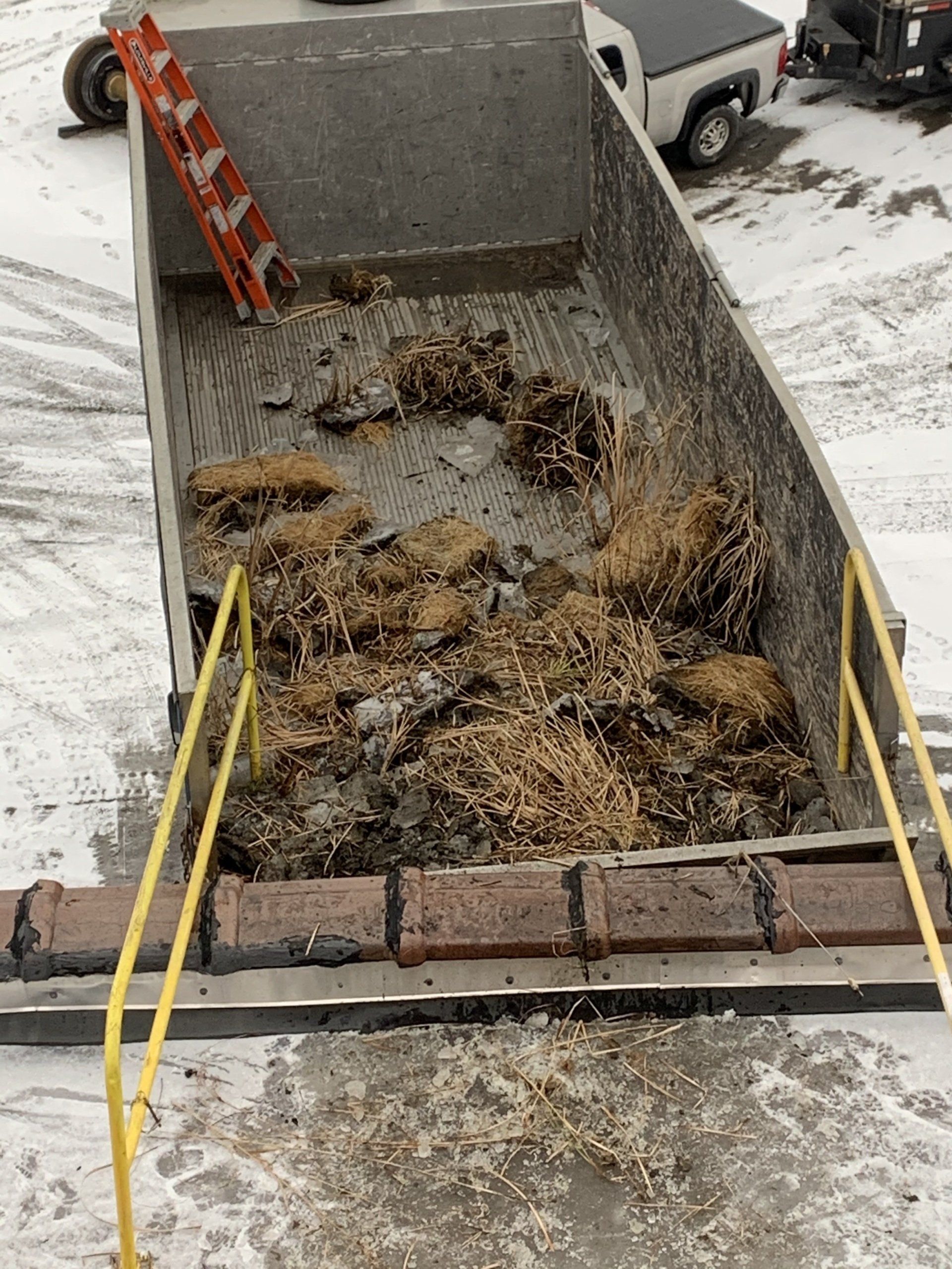 Rodd Roofing dumpster full of grass that was removed from the roof