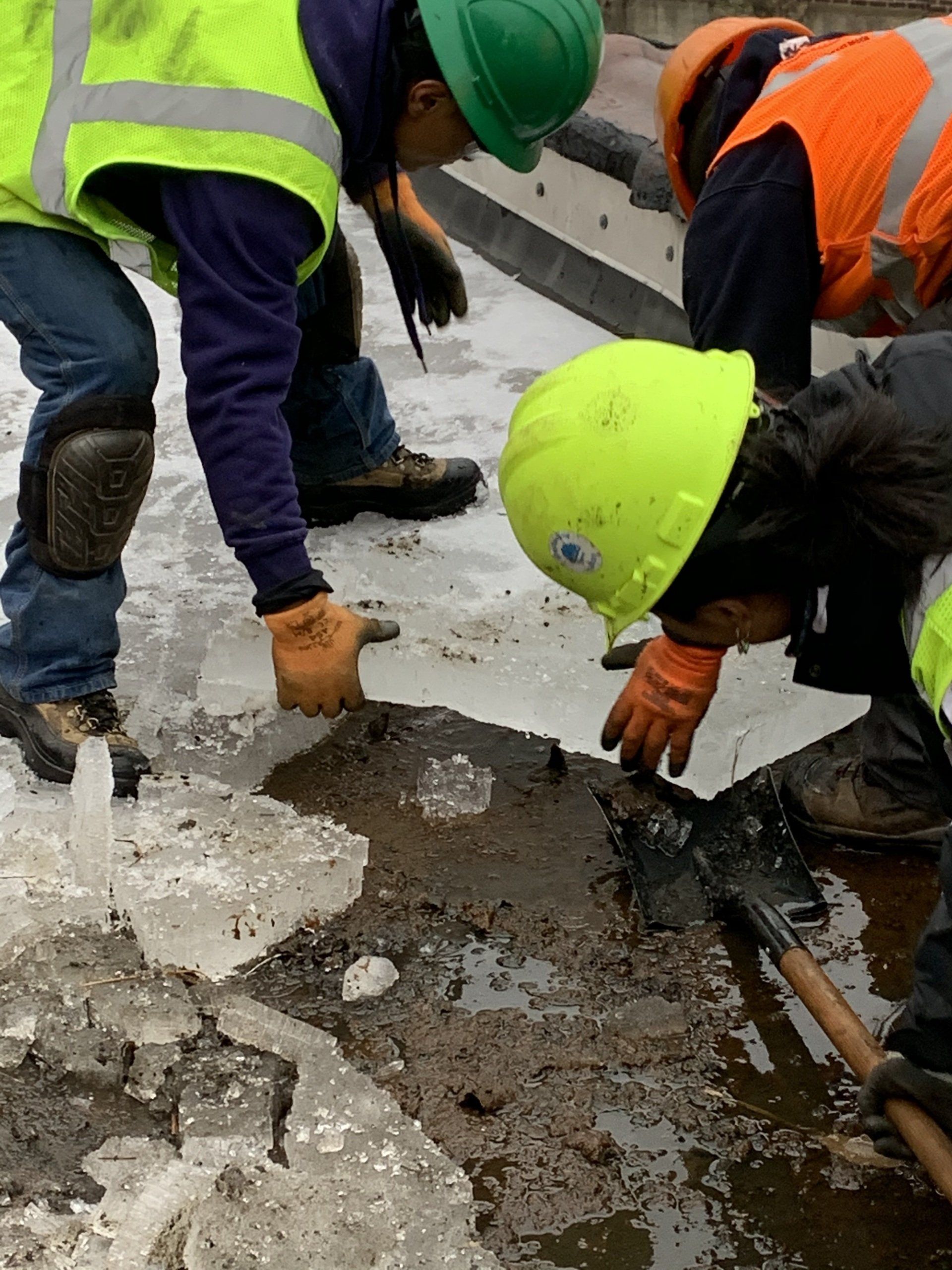 Rodd Roofing cleaning and preparing a roof