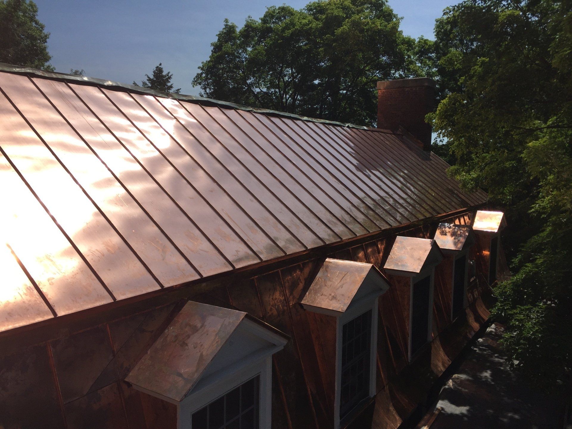 A house with a copper roof is surrounded by trees
