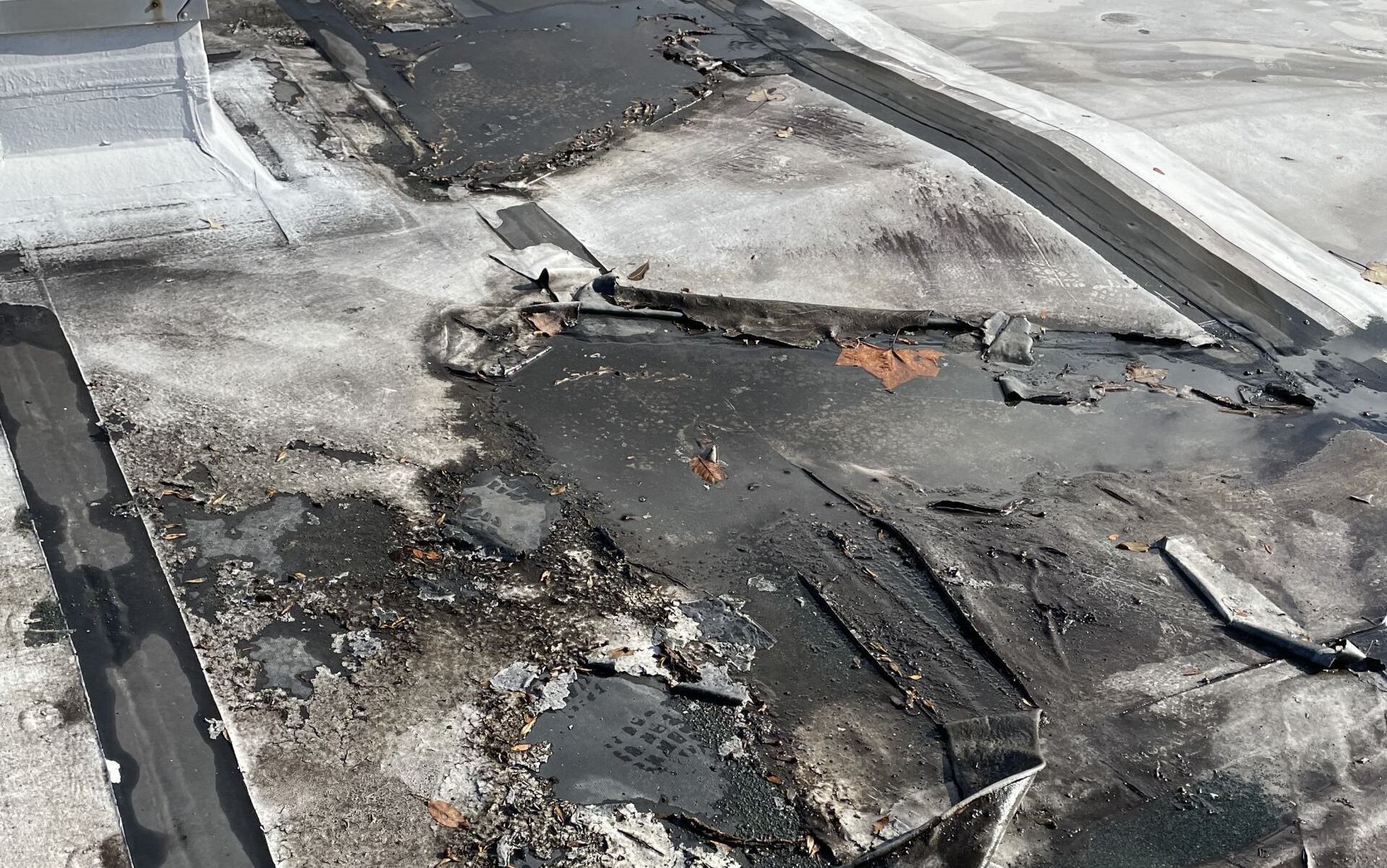 A roof suffering from serious neglect before roofing repair by Rodd Roofing Company