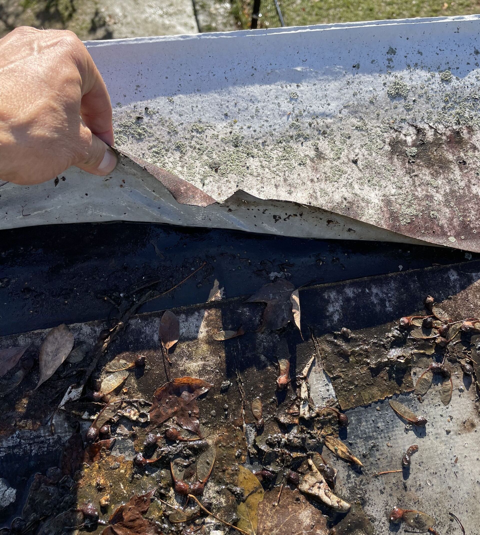 A Rodd Roofing roofer is revealing the damaged surface under a badly maintained roof