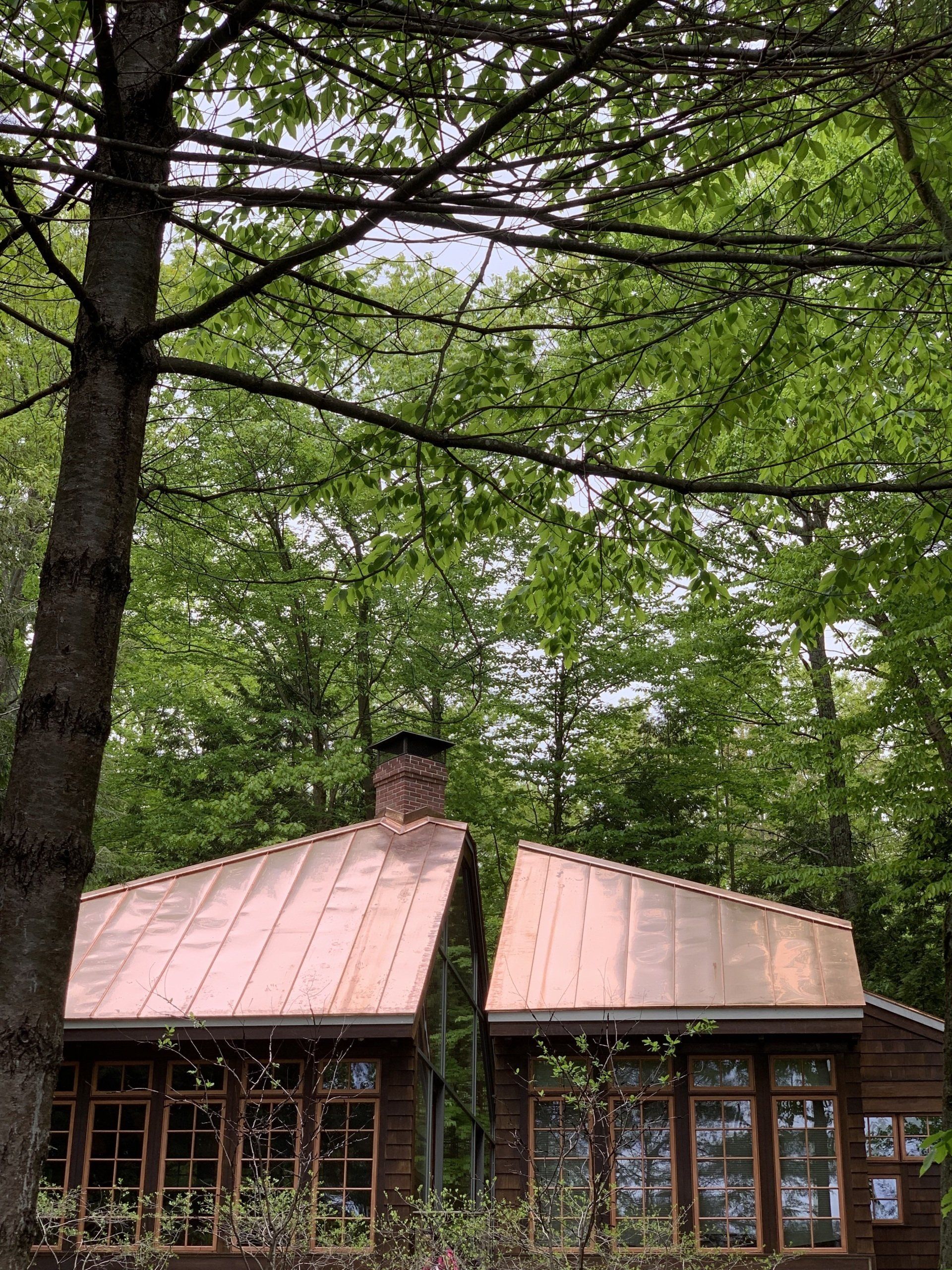 A small house with a copper roof is surrounded by trees.