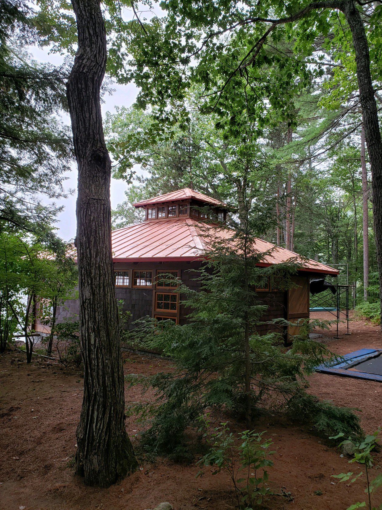 A house with a copper roof is surrounded by trees in the middle of a forest.