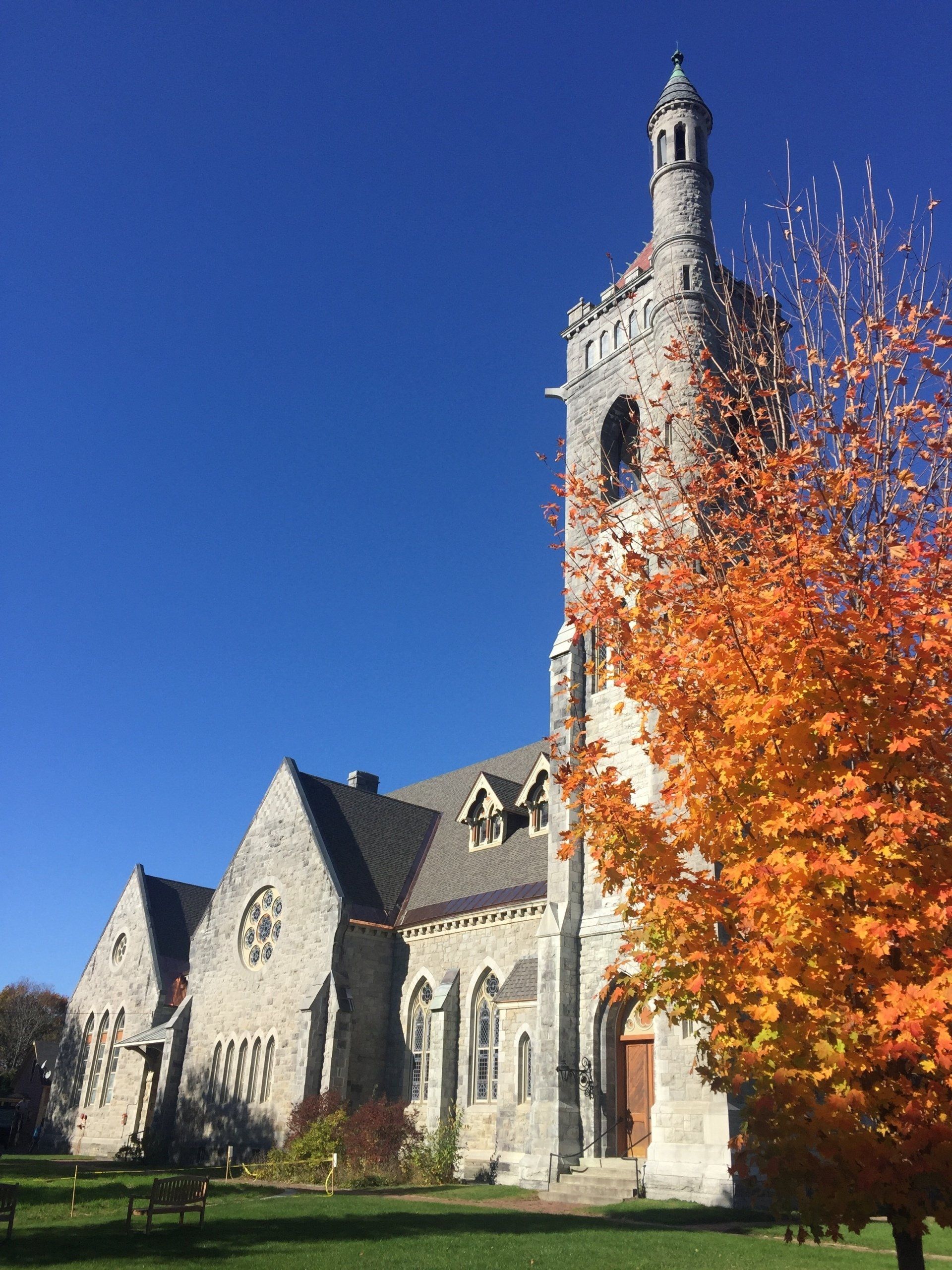 Large stone cathedral with an orange tree in fall with asphalt shingles roof