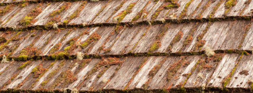 A close up of a wooden roof with moss growing on it.