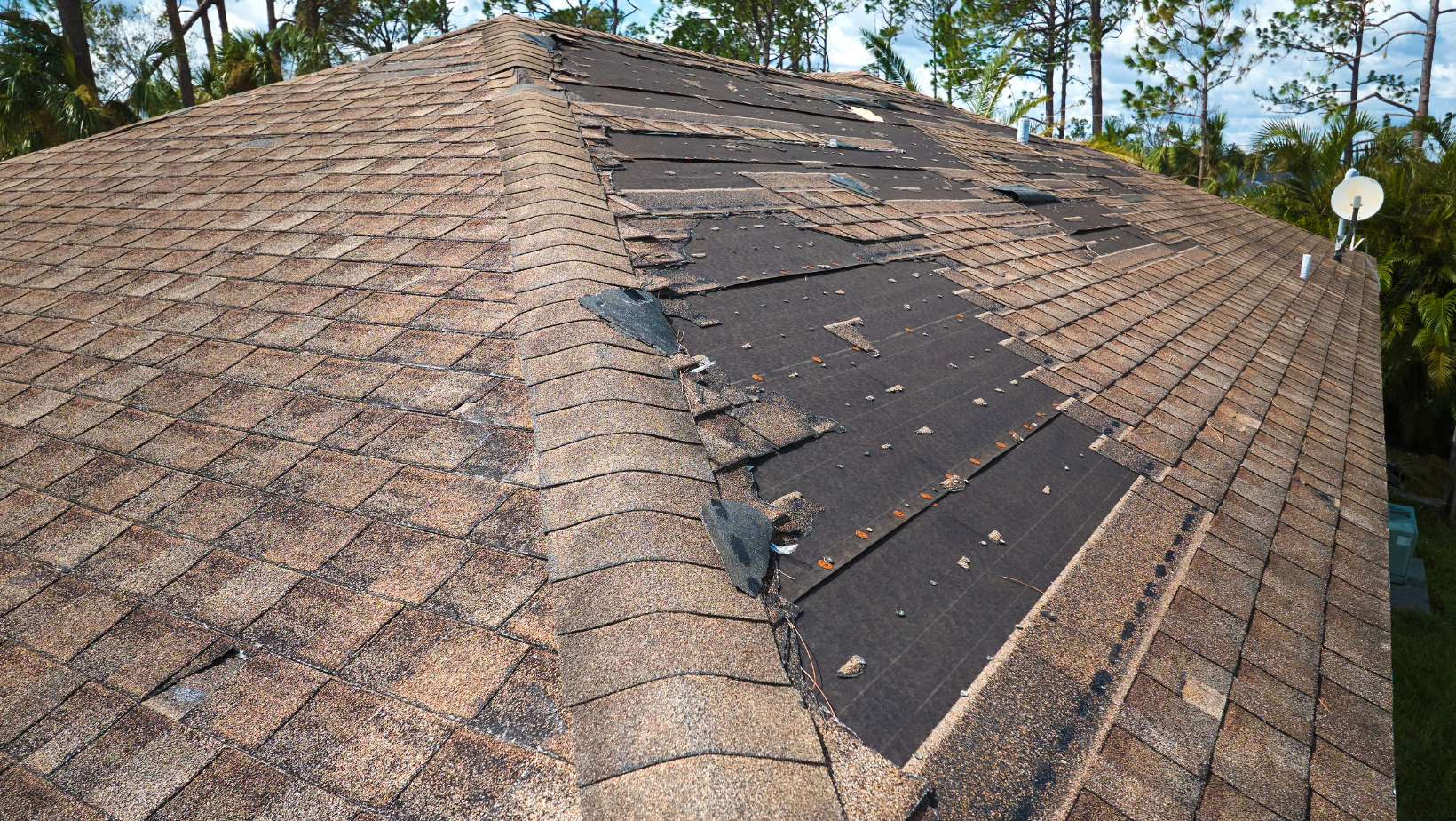 A shingle roof in need of repair