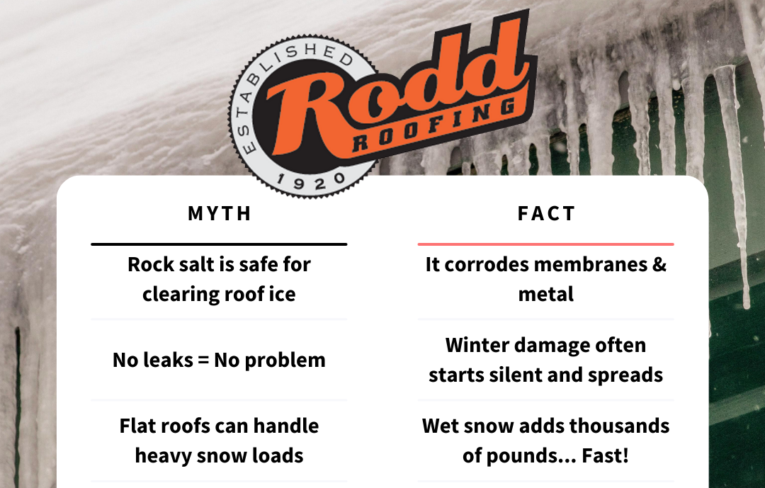 Blog Promotion image for the Blog article 