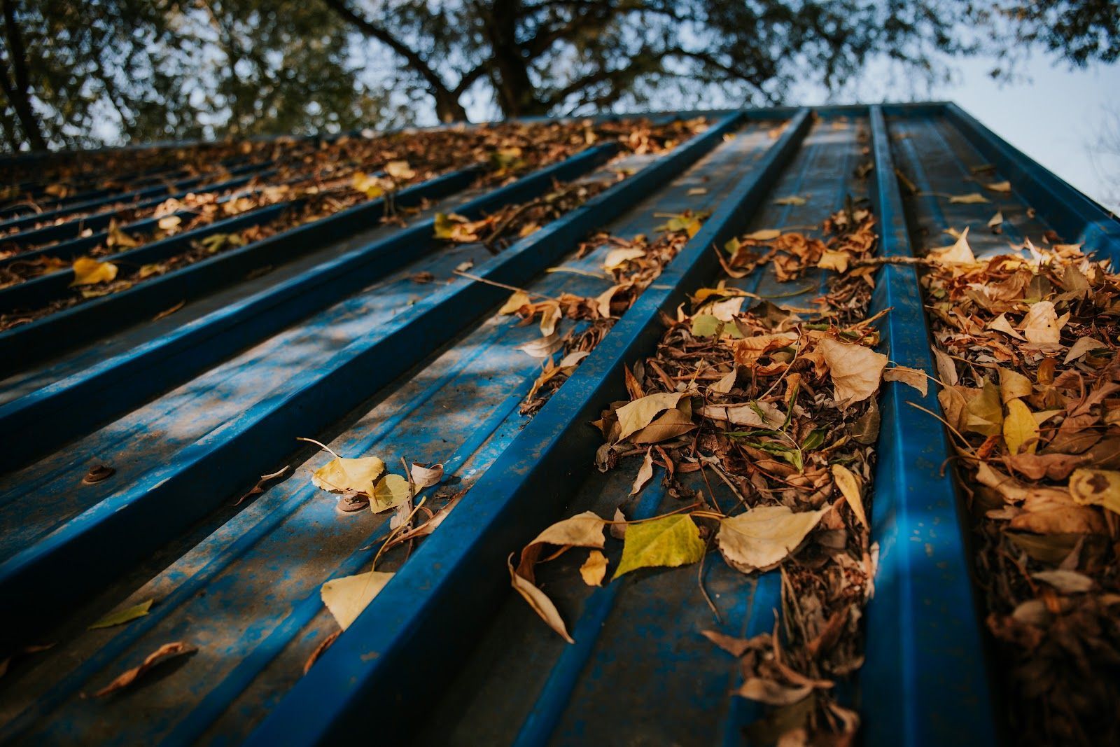 Blue corrugated metal roof covered in fallen leaves.