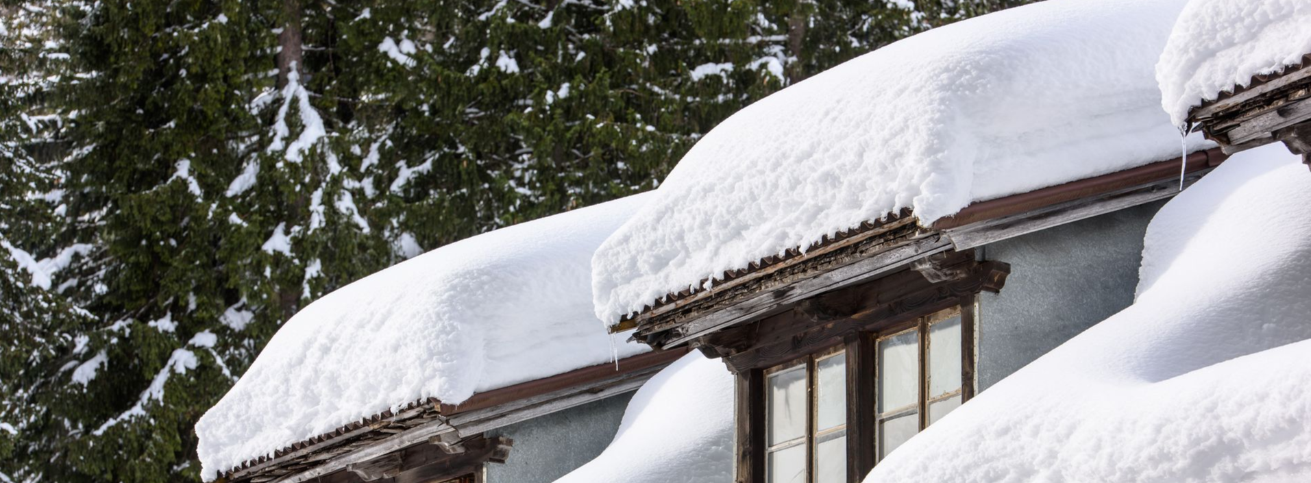 Snow-covered roof and windows of a building, set against a background of green trees.