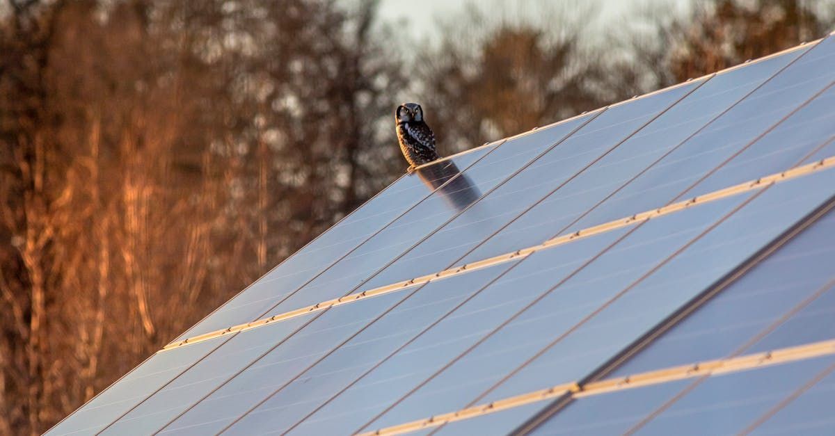 A close-up of a solar panel on a roof with trees in the background.