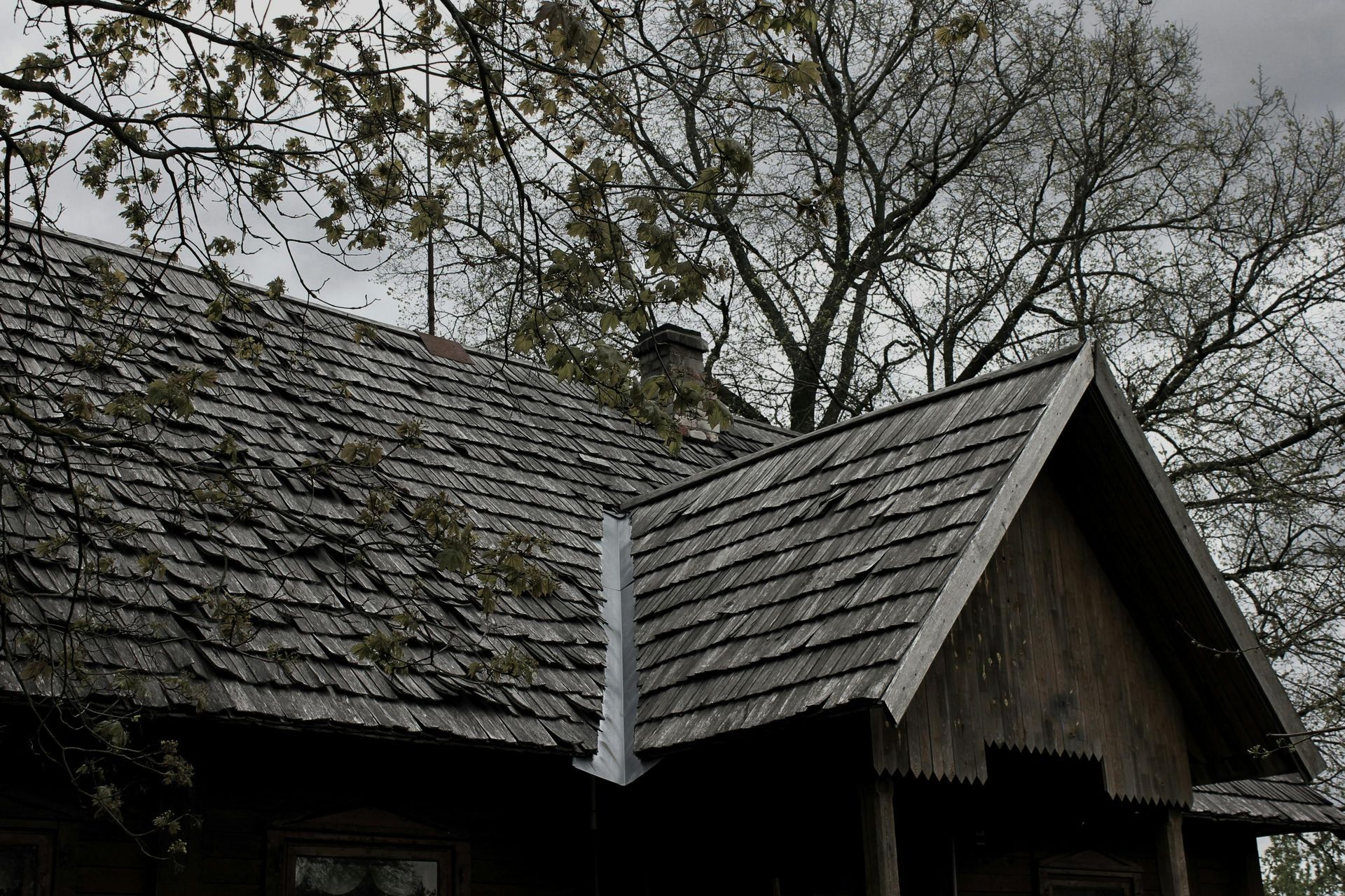Weathered wooden cabin roof with steep gables under bare tree branches on a cloudy day