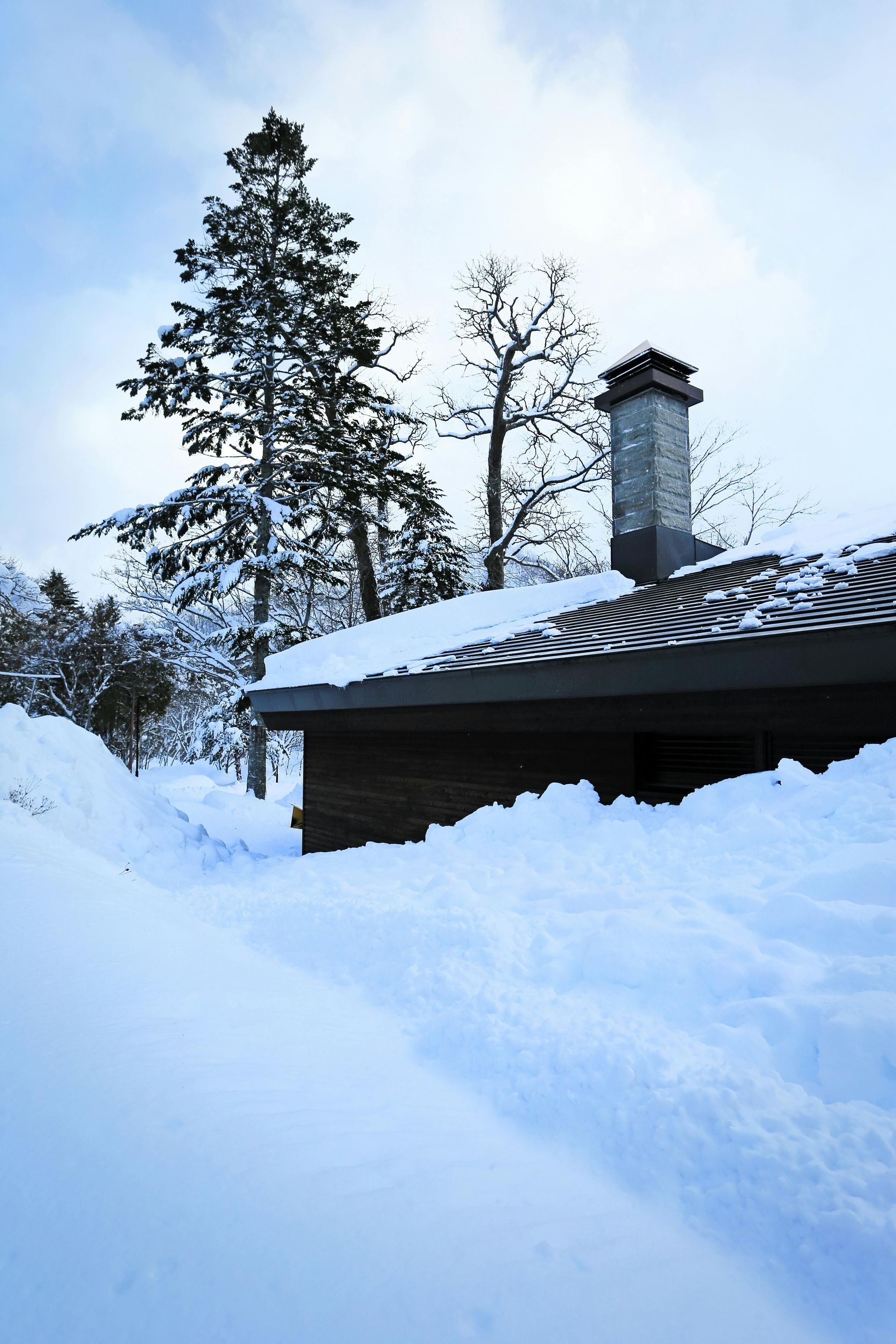 Snow-covered roof of a building with a chimney. Tall evergreen trees and a cloudy sky in the background.