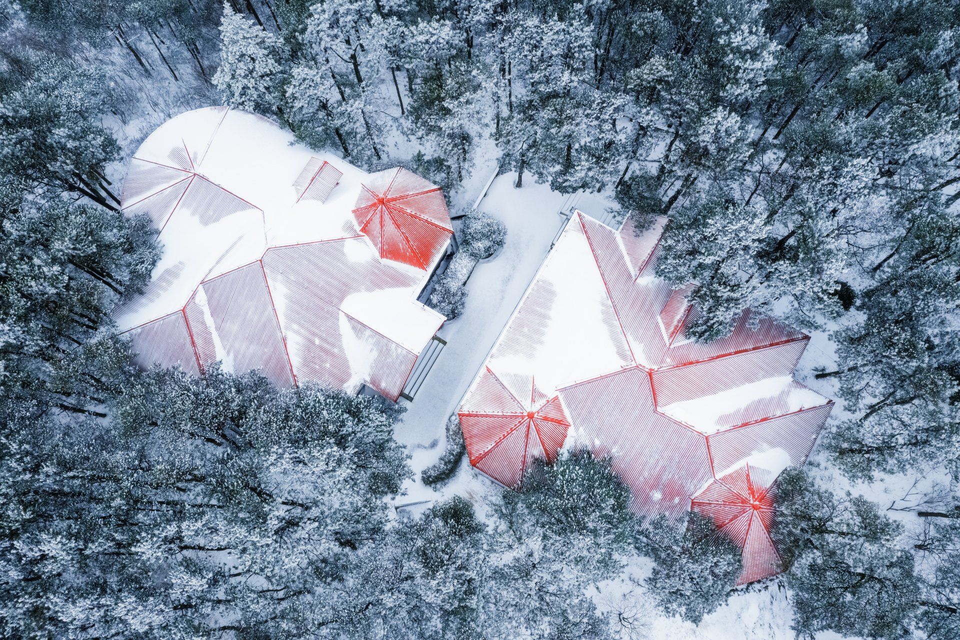 Overhead shot of a red roof covered in snow in the woods.