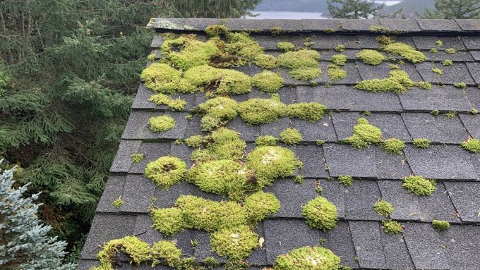 Roof Cleaning Moss Removal