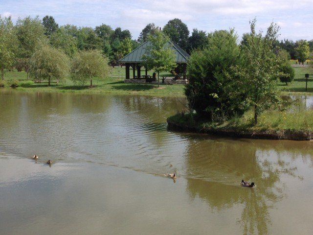Duck Pond