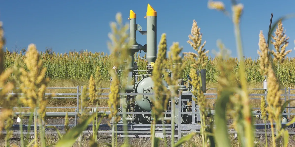 A sign on the side of the road says no parking