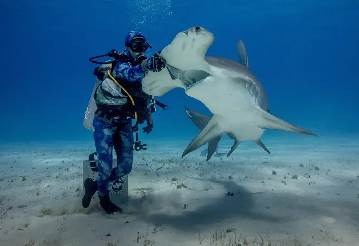 A woman is kneeling next to a sea turtle on the beach.