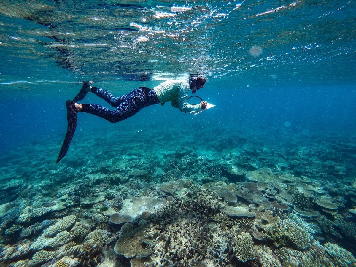 A person is swimming in the ocean over a coral reef.