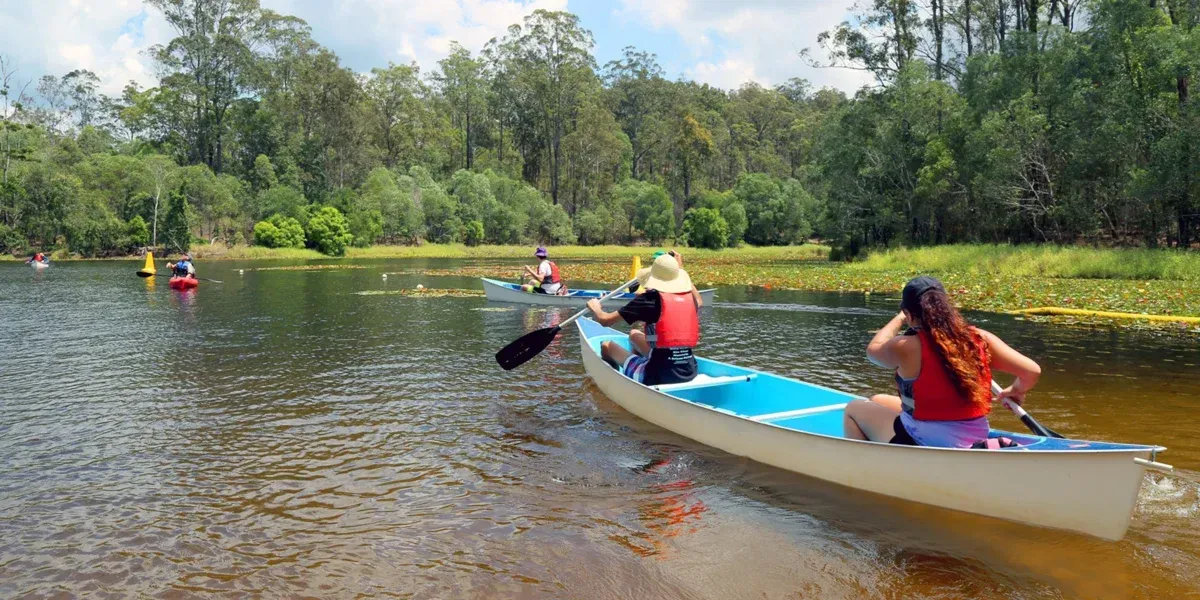 A group of people are paddling kayaks on a river.