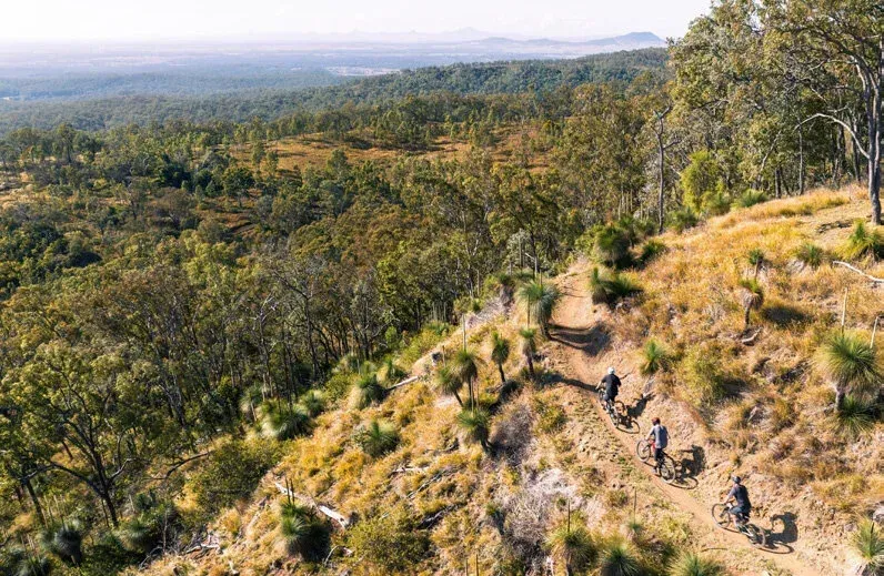A group of people are riding bikes on a trail in the woods.