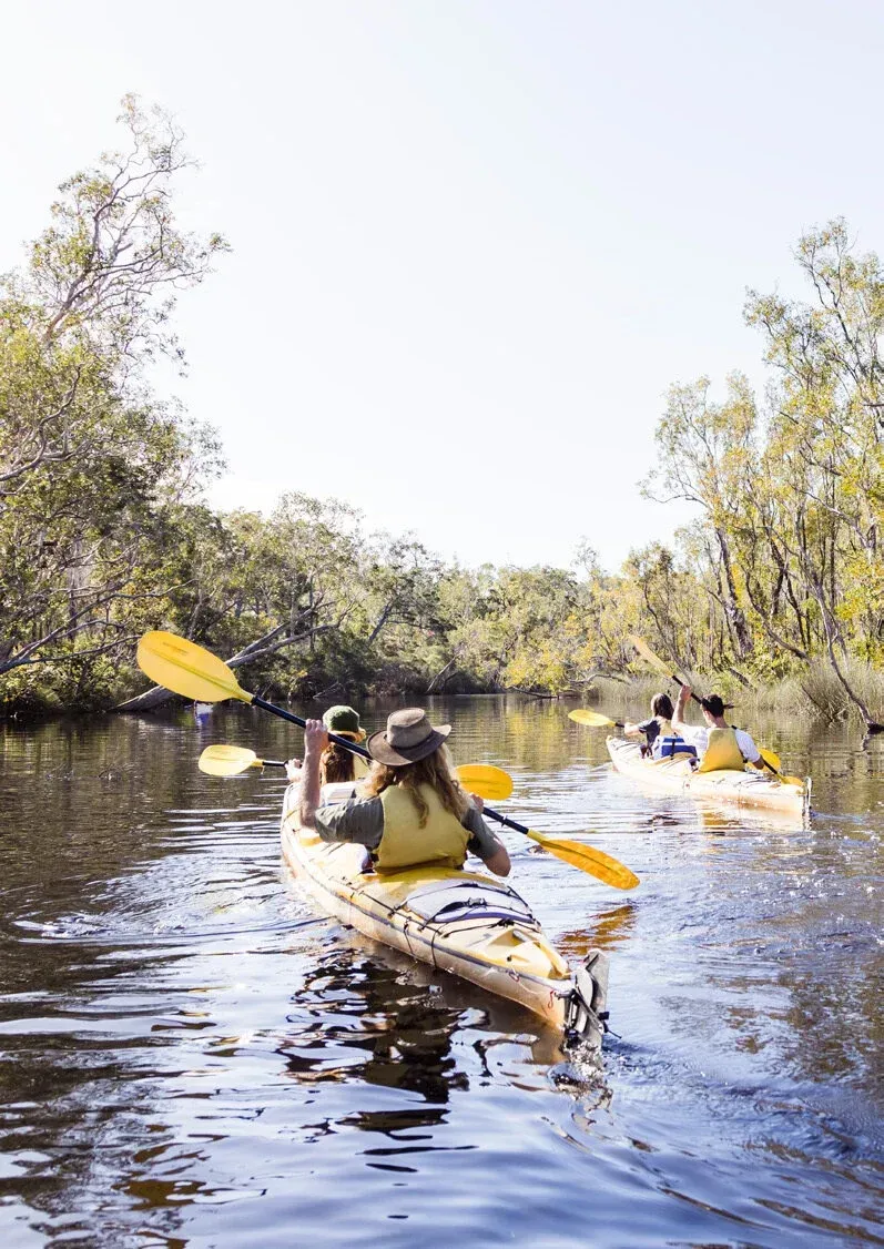 A group of people are kayaking down a river.