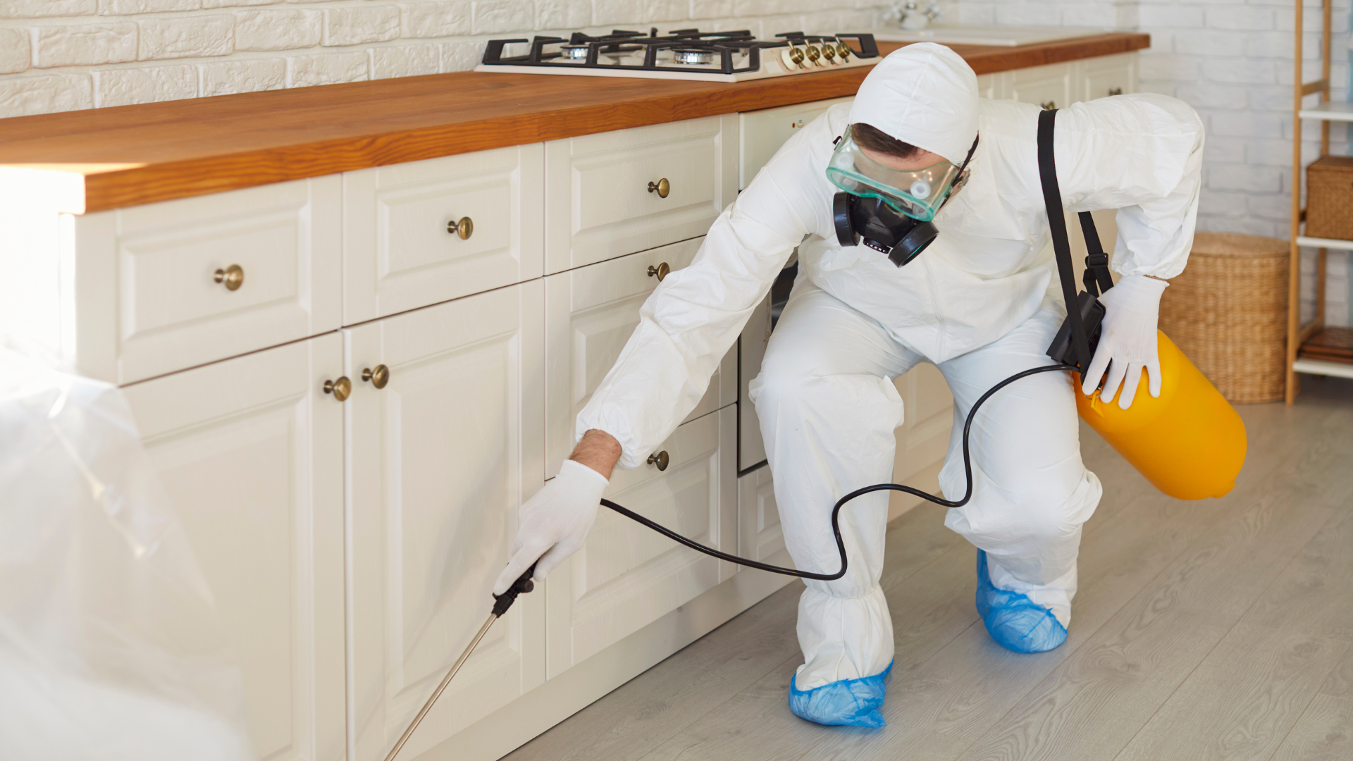 Person in protective suit spraying insecticide in a kitchen.