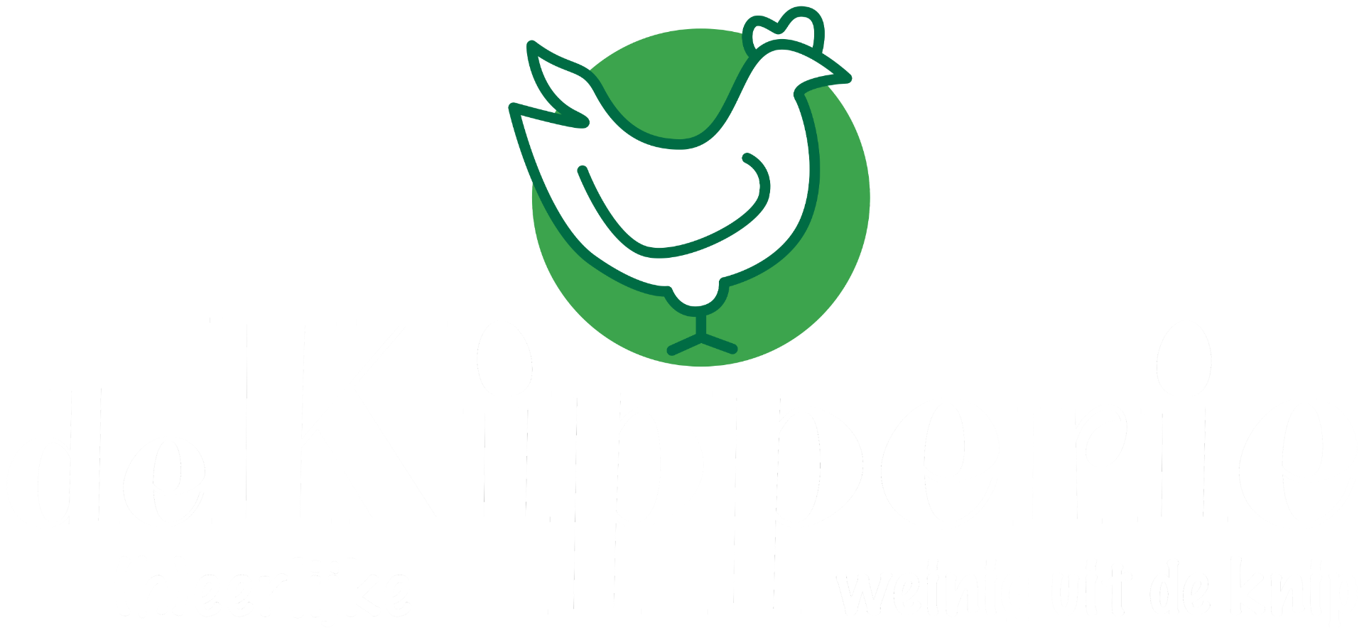 Logo voor Bikes & More in Venlo, met een fietssilhouet, een groene bliksemflits en tekst.