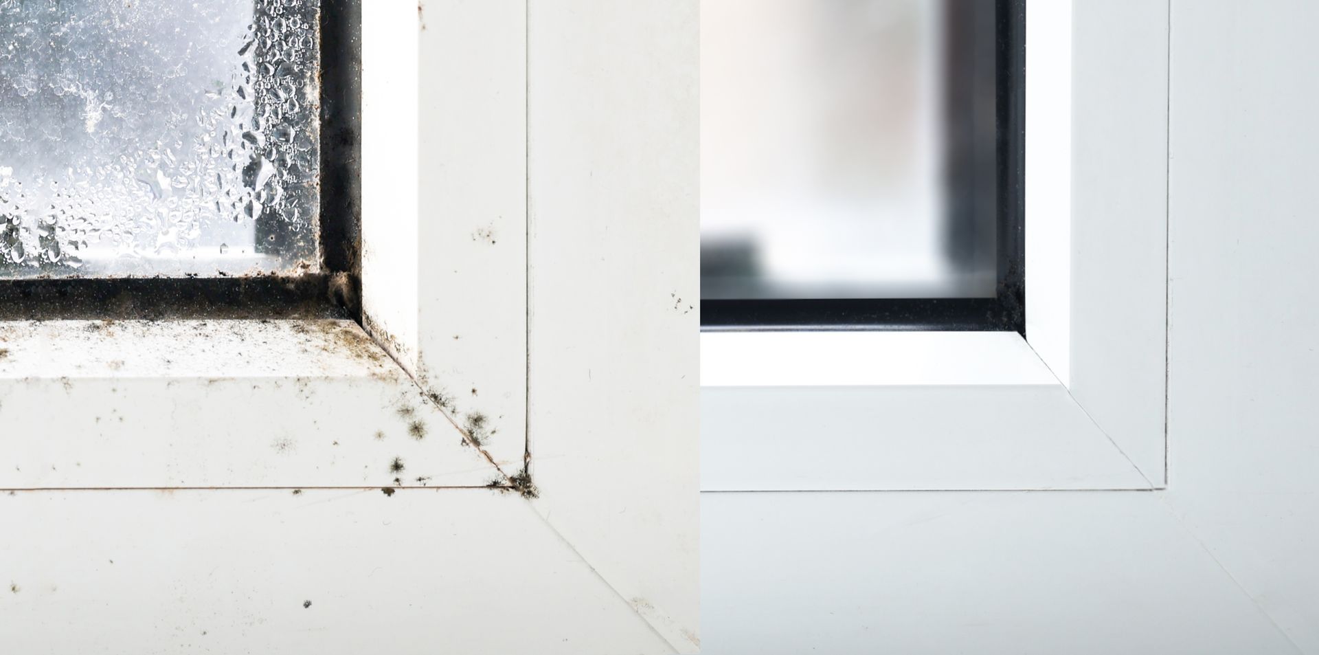 A before and after picture of a window with mold on it.