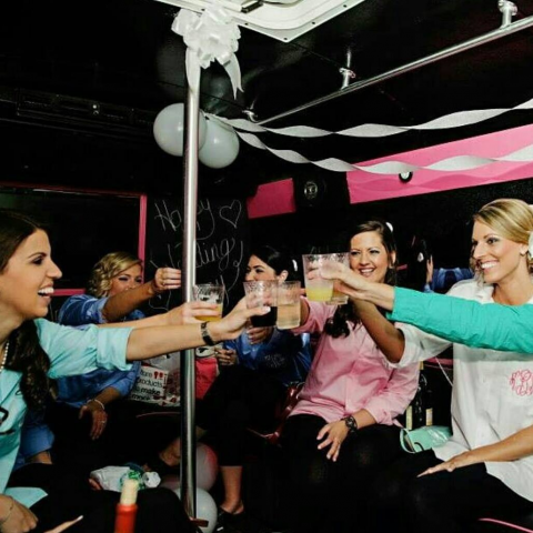 People raising glasses at a lively party, with pink and black decor and white streamers
