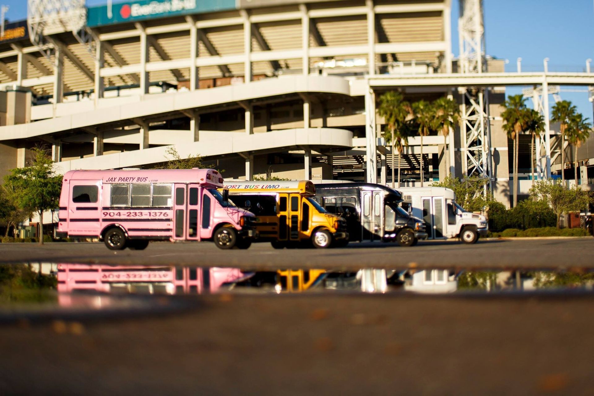Pink and black shuttle buses parked outside a stadium with a reflective puddle in the foreground